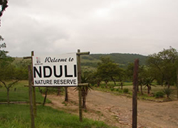 Nduli Nature Reserve